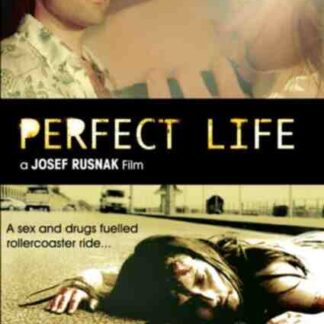 Perfect Life (2010) Starring Jesse Bradford on DVD