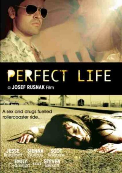 Perfect Life (2010) Starring Jesse Bradford on DVD - Image 2
