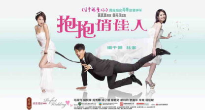 Perfect Wedding (2010) with English Subtitles on DVD - Image 2