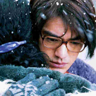 Perhaps Love (2005) with English Subtitles on DVD