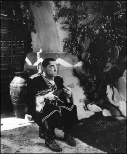Pest from the West (1939) Starring Buster Keaton on DVD - Image 3