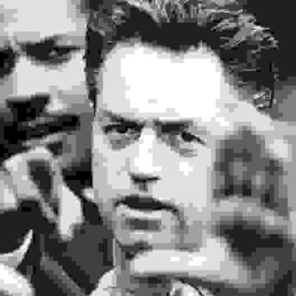 Philadelphia (1993) Starring Tom Hanks on DVD