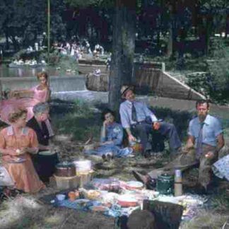 Picnic (1955) Starring William Holden on DVD