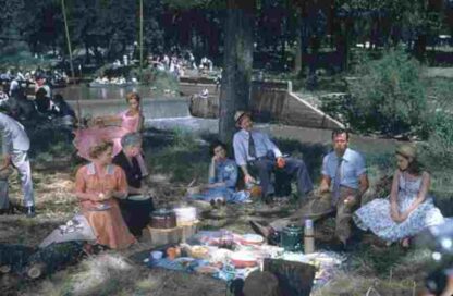 Picnic (1955) Starring William Holden on DVD