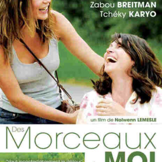 Pieces of Me (2012) with English Subtitles on DVD