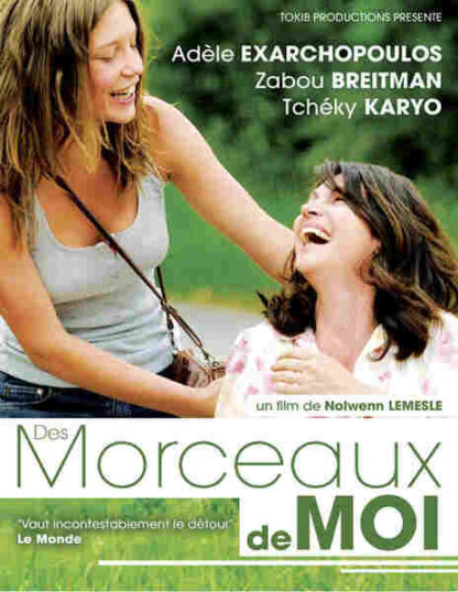 Pieces of Me (2012) with English Subtitles on DVD
