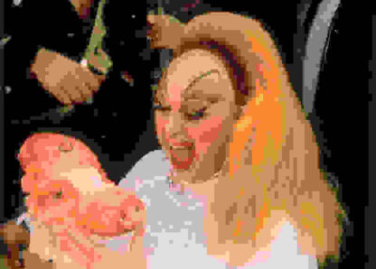Pink Flamingos (1972) Starring Divine on DVD