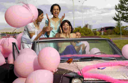 Pink Ludoos (2004) Starring Shaheen Khan on DVD - Image 4