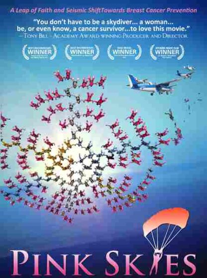 Pink Skies (2011) Starring Gulcin Gilbert on DVD - Image 3