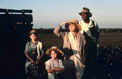 Places in the Heart (1984) Starring Sally Field on DVD - Image 2