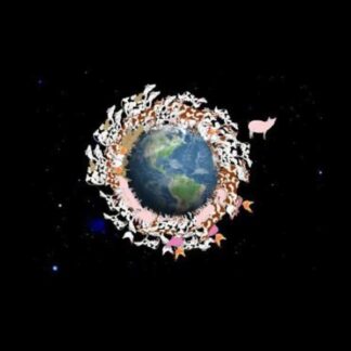 Planeat (2010) Starring T. Colin Campbell on DVD