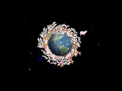 Planeat (2010) Starring T. Colin Campbell on DVD