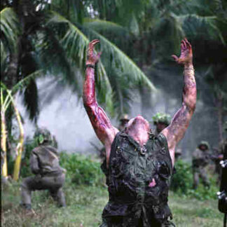 Platoon (1986) Starring Keith David on DVD