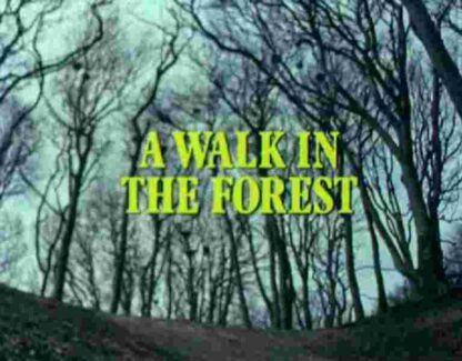 Play for Today A Walk in the Forest (1980) Starring John Alderton on DVD
