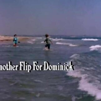 Play for Today Another Flip for Dominick (1982) Starring Peter Firth on DVD