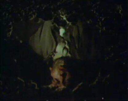 Play for Today The Cry (1984) Starring Adrian Dunbar on DVD - Image 2