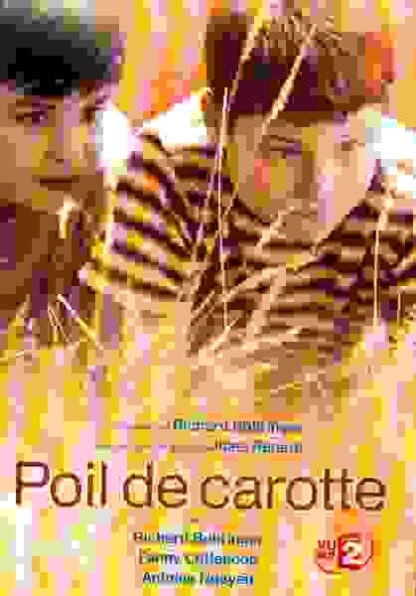 Poil de carotte (2003) with English Subtitles on DVD - Image 3