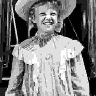Pollyanna (1960) Starring Hayley Mills on DVD