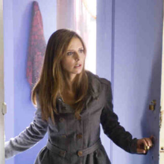 Possession (2009) Starring Sarah Michelle Gellar on DVD