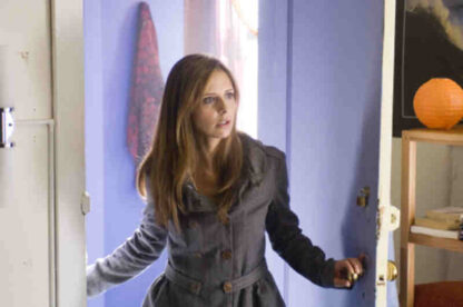 Possession (2009) Starring Sarah Michelle Gellar on DVD