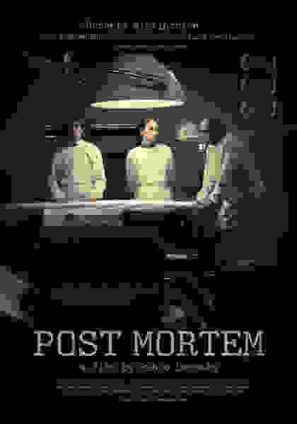 Post Mortem (2010) with English Subtitles on DVD - Image 5