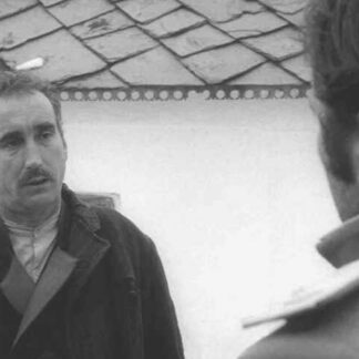 Praznik (1967) Starring Jovan Janicijevic-Burdus on DVD