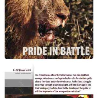 Pride in Battle (2010) Starring  on DVD