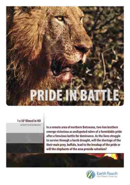 Pride in Battle (2010) Starring  on DVD