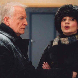 Private Fears in Public Places (2006) with English Subtitles on DVD