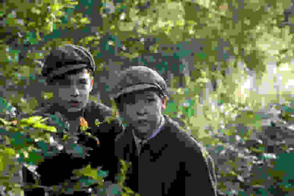 Private Peaceful (2012) Starring Hero Fiennes Tiffin on DVD - Image 4