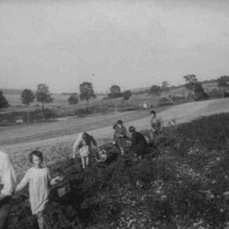 Prix et profits, la pomme de terre (1932) with English Subtitles on DVD