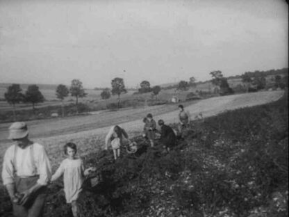 Prix et profits, la pomme de terre (1932) with English Subtitles on DVD