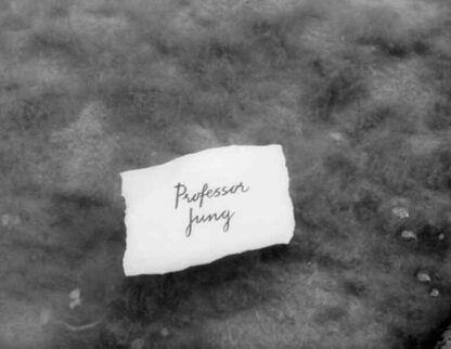 Professor Jung (TV Episode 1959) (1959) with English Subtitles on DVD