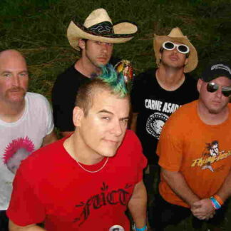 Punk Like Me (2006) Starring Rich Wilkes on DVD