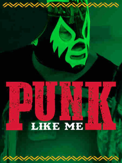 Punk Like Me (2006) Starring Rich Wilkes on DVD - Image 5