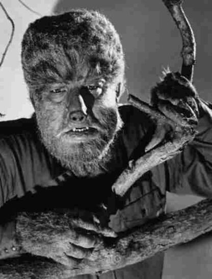 Pure in Heart: The Life and Legacy of Lon Chaney Jr. (2010) Starring Gregory W. Mank on DVD