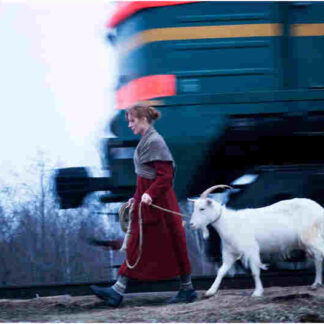 Puteshestvie s domashnimi zhivotnymi (2007) with English Subtitles on DVD