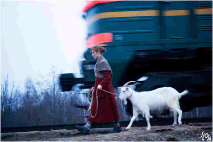 Puteshestvie s domashnimi zhivotnymi (2007) with English Subtitles on DVD