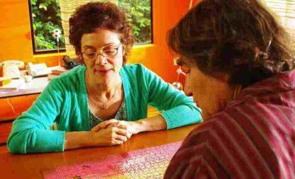 Puzzle (2010) with English Subtitles on DVD