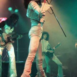 Queen: The Legendary 1975 Concert (2009) Starring Queen on DVD