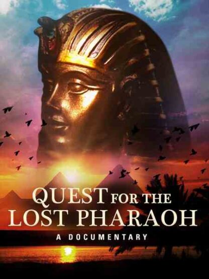 Quest for the Lost Pharaoh (2003) with English Subtitles on DVD - Image 4