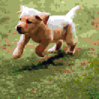 Quill: The Life of a Guide Dog (2004) with English Subtitles on DVD