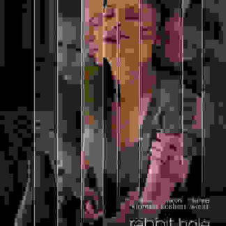 Rabbit Hole (2010) Starring Nicole Kidman on DVD