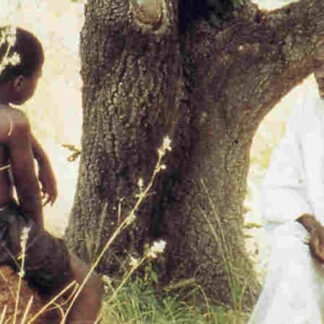 Rabi (1992) with English Subtitles on DVD