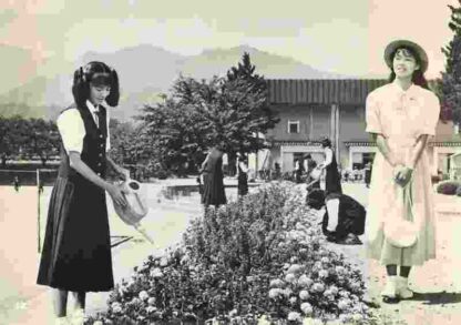 Rabu sutori o kimini (1988) with English Subtitles on DVD - Image 4