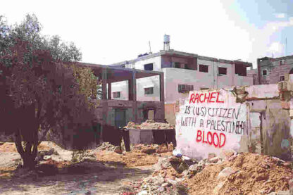 Rachel (2009) Starring Rachel Corrie on DVD - Image 3
