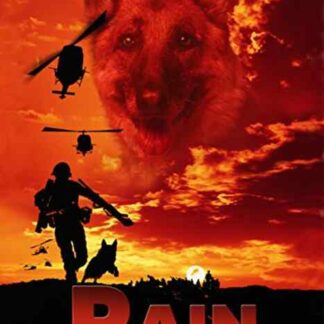 Rain (2001) Starring Susan Dey on DVD