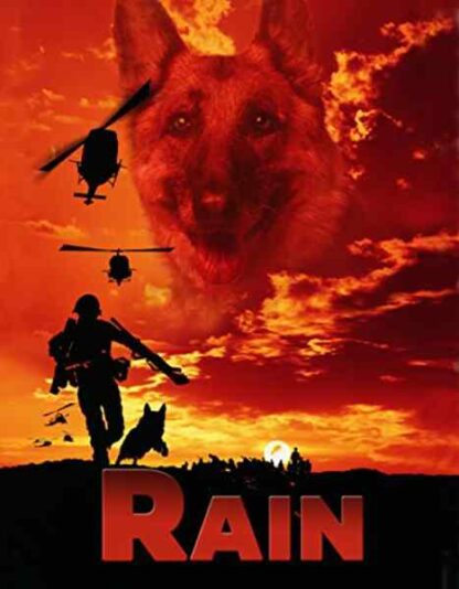 Rain (2001) Starring Susan Dey on DVD