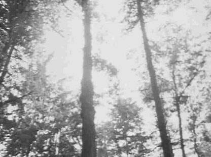 Rape (1966) with English Subtitles on DVD - Image 3