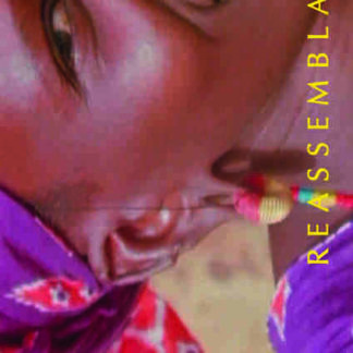 Reassemblage: From the Firelight to the Screen (1983) Starring  on DVD